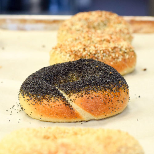 the daly bagel